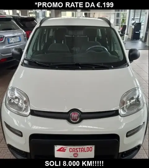 Used FIAT PANDA Hybrid 2023 Ad 