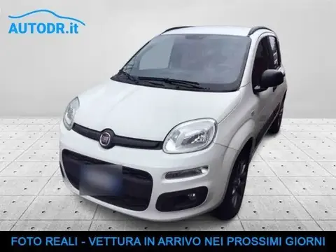 Used FIAT PANDA Diesel 2017 Ad 