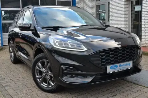 Used FORD KUGA Hybrid 2023 Ad 