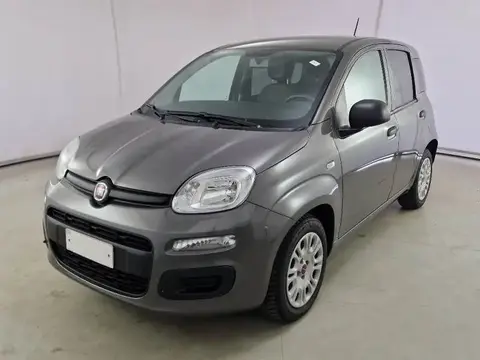 Used FIAT PANDA Hybrid 2021 Ad 