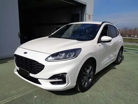 Annonce FORD KUGA Hybride 2020 d'occasion 