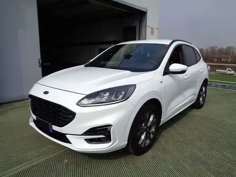 Used FORD KUGA Diesel 2020 Ad 