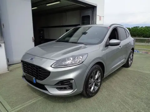 Annonce FORD KUGA Hybride 2021 d'occasion 