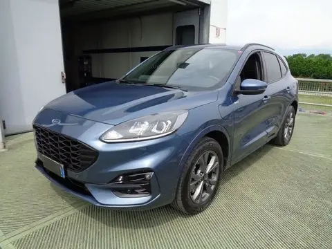 Used FORD KUGA Hybrid 2021 Ad 