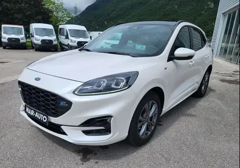 Annonce FORD KUGA Essence 2021 d'occasion 