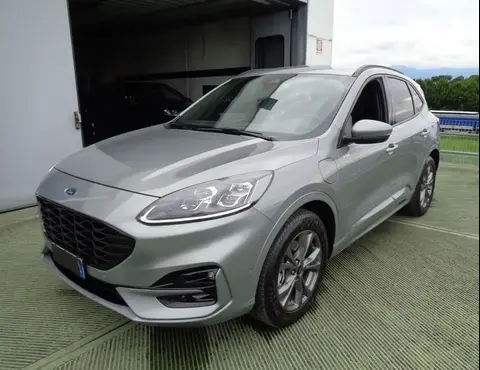 Used FORD KUGA Hybrid 2020 Ad 