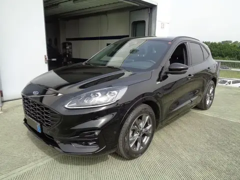 Used FORD KUGA Hybrid 2021 Ad 