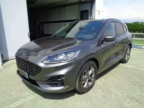 Used FORD KUGA Hybrid 2021 Ad 