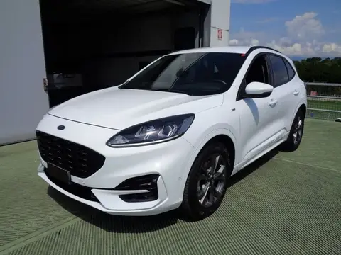 Annonce FORD KUGA Hybride 2021 d'occasion 