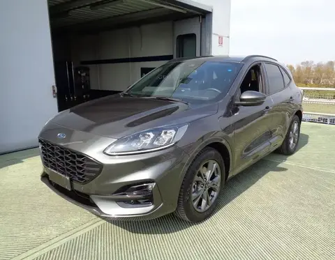 Used FORD KUGA Hybrid 2021 Ad 