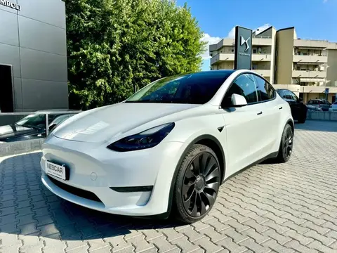 Annonce TESLA MODEL Y Non renseigné 2023 d'occasion 