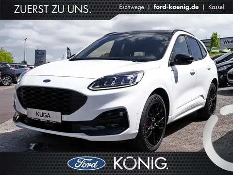 Used FORD KUGA Diesel 2023 Ad 