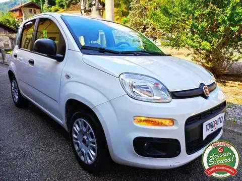 Annonce FIAT PANDA  2019 d'occasion 