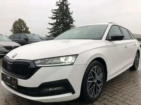 Annonce SKODA OCTAVIA Diesel 2021 d'occasion 