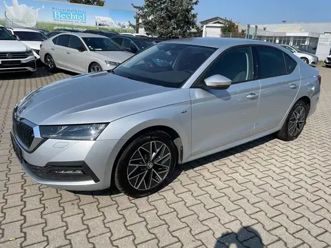 Annonce SKODA OCTAVIA Diesel 2021 d'occasion 