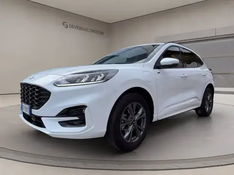 Annonce FORD KUGA Hybride 2023 d'occasion 