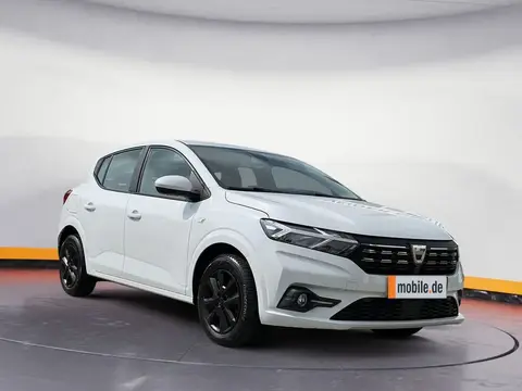 Annonce DACIA SANDERO Essence 2021 d'occasion 