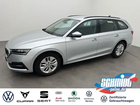 Used SKODA OCTAVIA Petrol 2021 Ad 