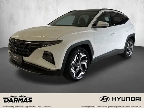 Used HYUNDAI TUCSON Hybrid 2023 Ad 