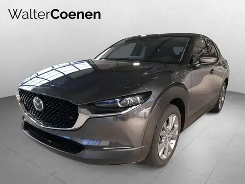 Annonce MAZDA CX-30 Essence 2023 d'occasion 