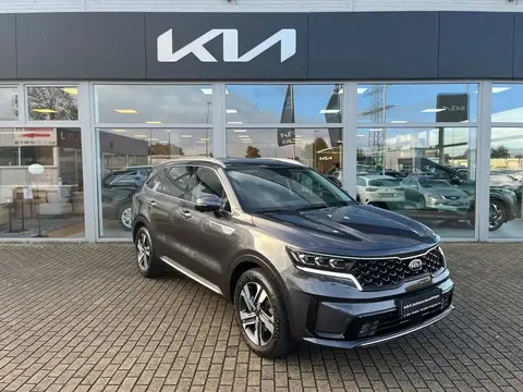 Annonce KIA SORENTO Hybride 2021 d'occasion 