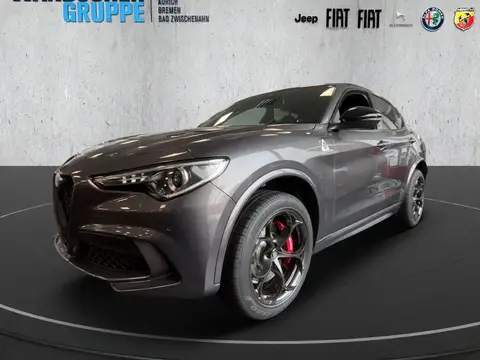 Used ALFA ROMEO STELVIO Petrol 2022 Ad 