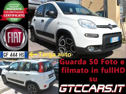 Used FIAT PANDA LPG 2021 Ad 