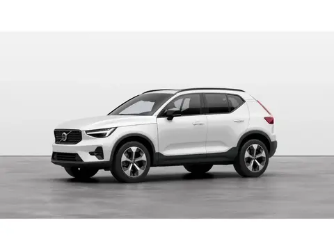 Used VOLVO XC40 Petrol 2024 Ad Germany