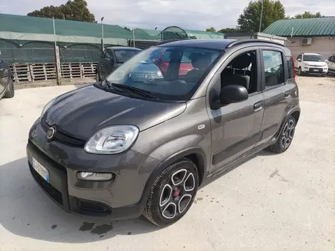 Used FIAT PANDA Hybrid 2022 Ad 