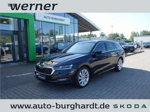 Used SKODA OCTAVIA Diesel 2023 Ad 