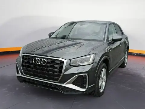 Annonce AUDI Q2 Essence 2024 d'occasion 