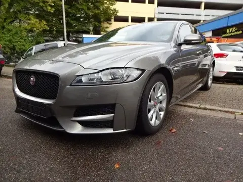 Used JAGUAR XF Diesel 2017 Ad 