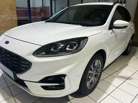 Used FORD KUGA Hybrid 2021 Ad 