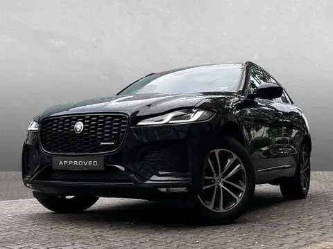 Annonce JAGUAR F-PACE Diesel 2024 d'occasion 