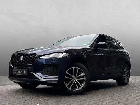 Used JAGUAR F-PACE Diesel 2024 Ad 