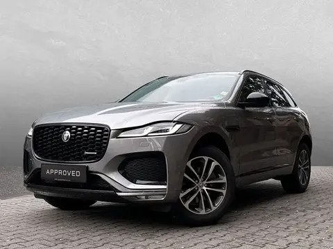 Annonce JAGUAR F-PACE Diesel 2024 d'occasion 