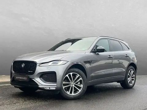 Used JAGUAR F-PACE Diesel 2024 Ad 