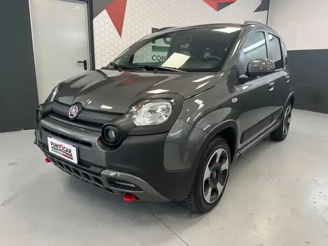 Used FIAT PANDA Hybrid 2023 Ad 