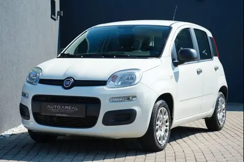 Annonce FIAT PANDA Essence 2019 d'occasion 