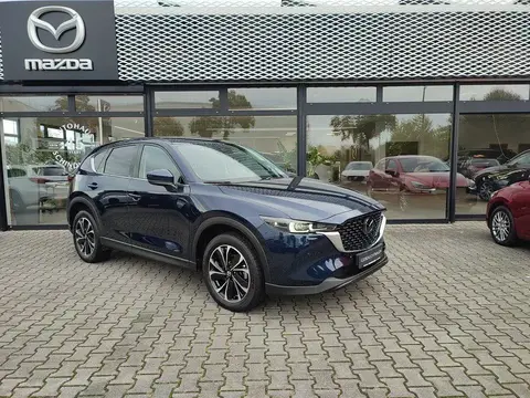 Used MAZDA CX-5 Diesel 2023 Ad 