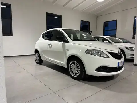 Annonce LANCIA YPSILON GPL 2017 d'occasion 