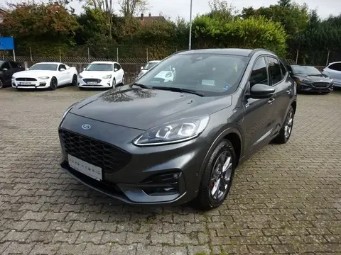 Annonce FORD KUGA Hybride 2023 d'occasion 