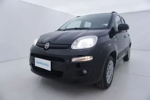 Used FIAT PANDA Petrol 2020 Ad 