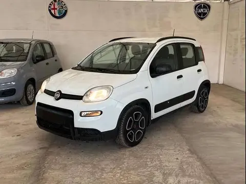 Used FIAT PANDA Hybrid 2022 Ad 