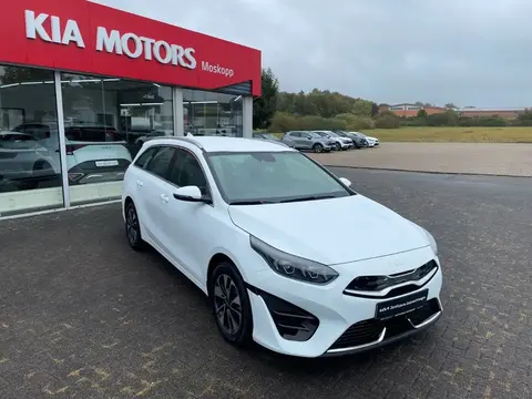 Used KIA CEED Hybrid 2023 Ad 