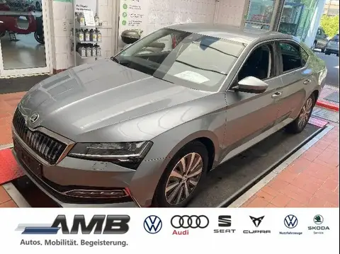 Used SKODA SUPERB Hybrid 2021 Ad 