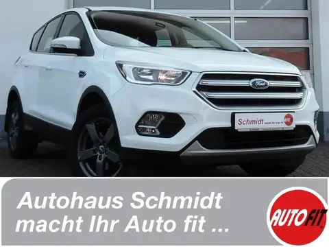 Used FORD KUGA Petrol 2019 Ad 