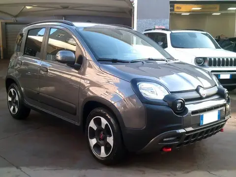 Annonce FIAT PANDA Hybride 2023 d'occasion 