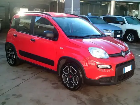 Used FIAT PANDA Hybrid 2022 Ad 