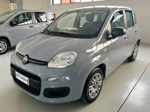 Used FIAT PANDA Hybrid 2022 Ad 